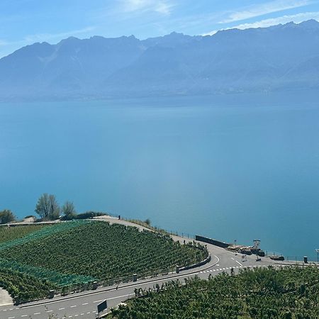 Room With 360° View Overlooking Lake Geneva And Alps Puidoux Bagian luar foto