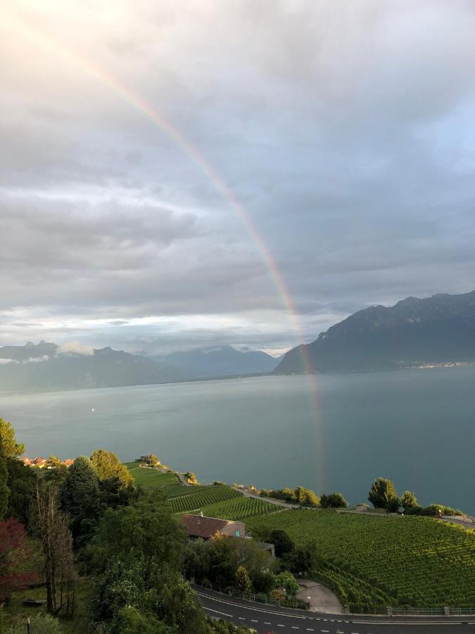 Room With 360° View Overlooking Lake Geneva And Alps Puidoux Bagian luar foto