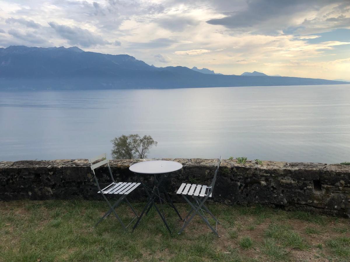 Room With 360° View Overlooking Lake Geneva And Alps Puidoux Bagian luar foto