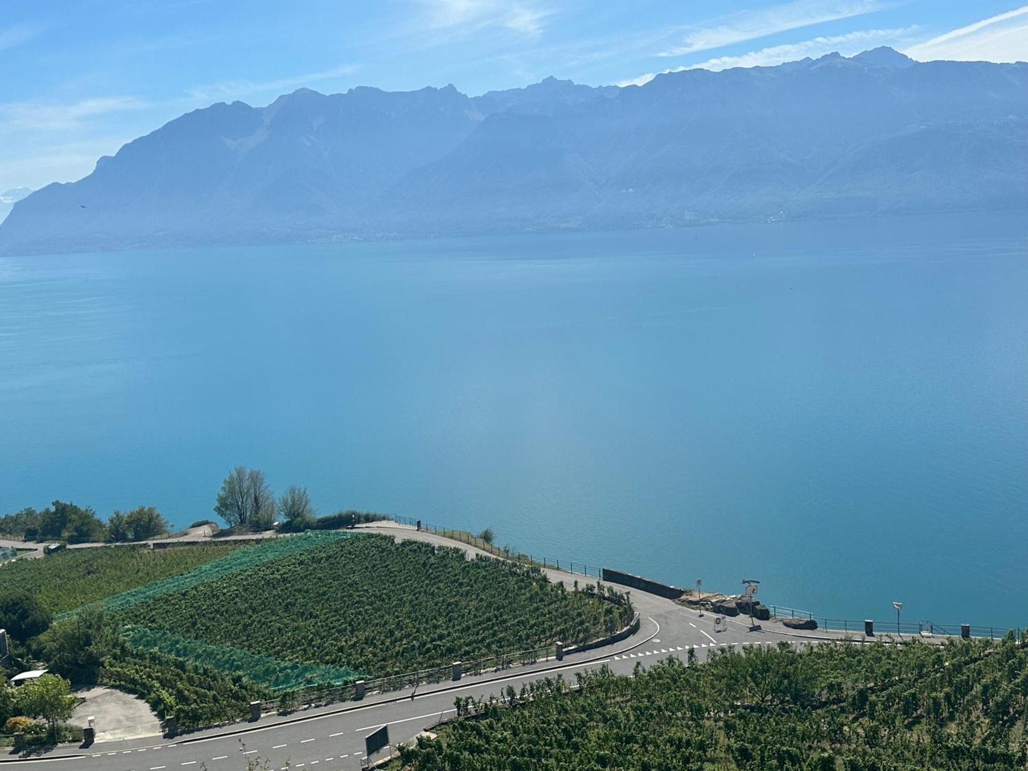 Room With 360° View Overlooking Lake Geneva And Alps Puidoux Bagian luar foto